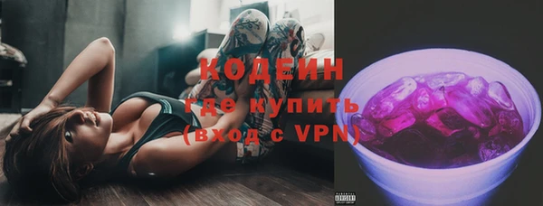 шишки Саяногорск