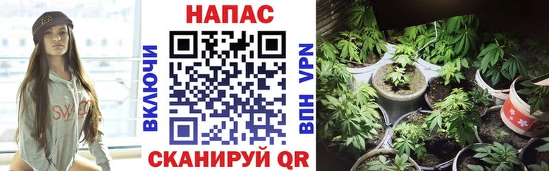 Конопля AK-47  OMG рабочий сайт  нарко площадка наркотические препараты  Костомукша 